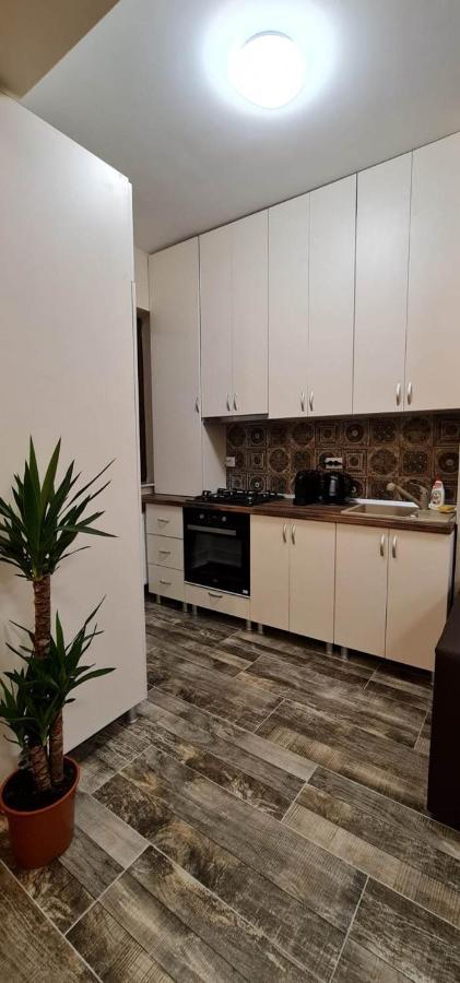 Designed Like Home Apartment Near Palas Mall 이아시 외부 사진