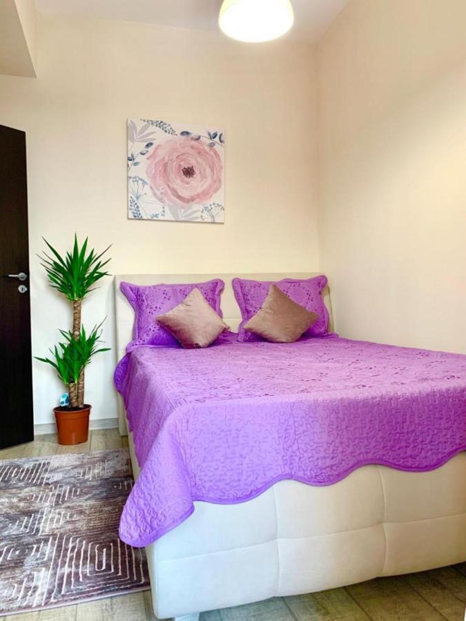 Designed Like Home Apartment Near Palas Mall 이아시 외부 사진
